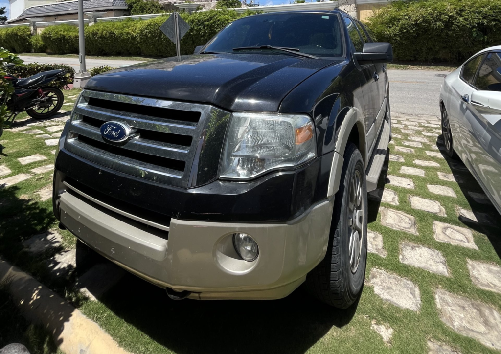 Ford Expedition 2010