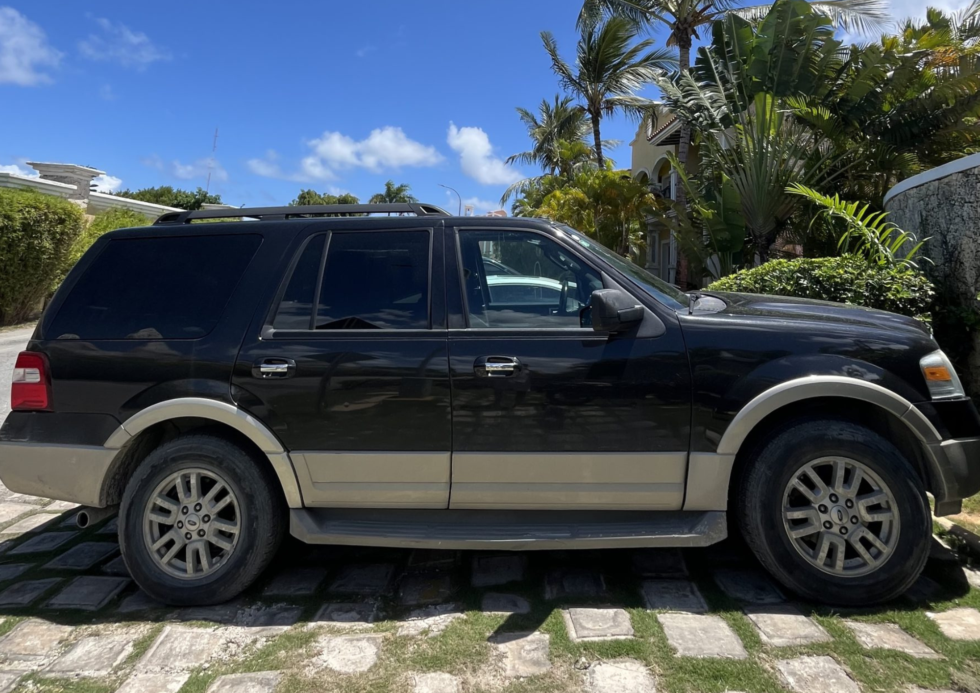 Ford Expedition 2010