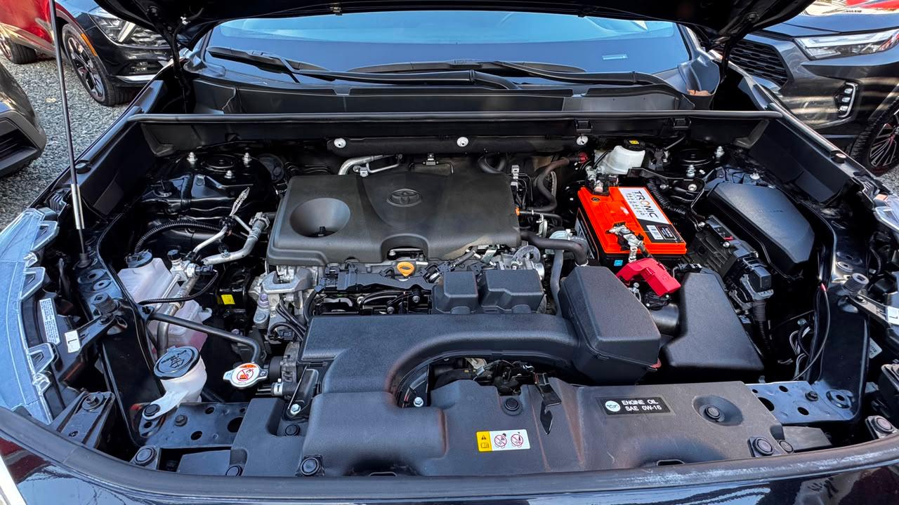 Toyota RAV4 LE PLUS 2024