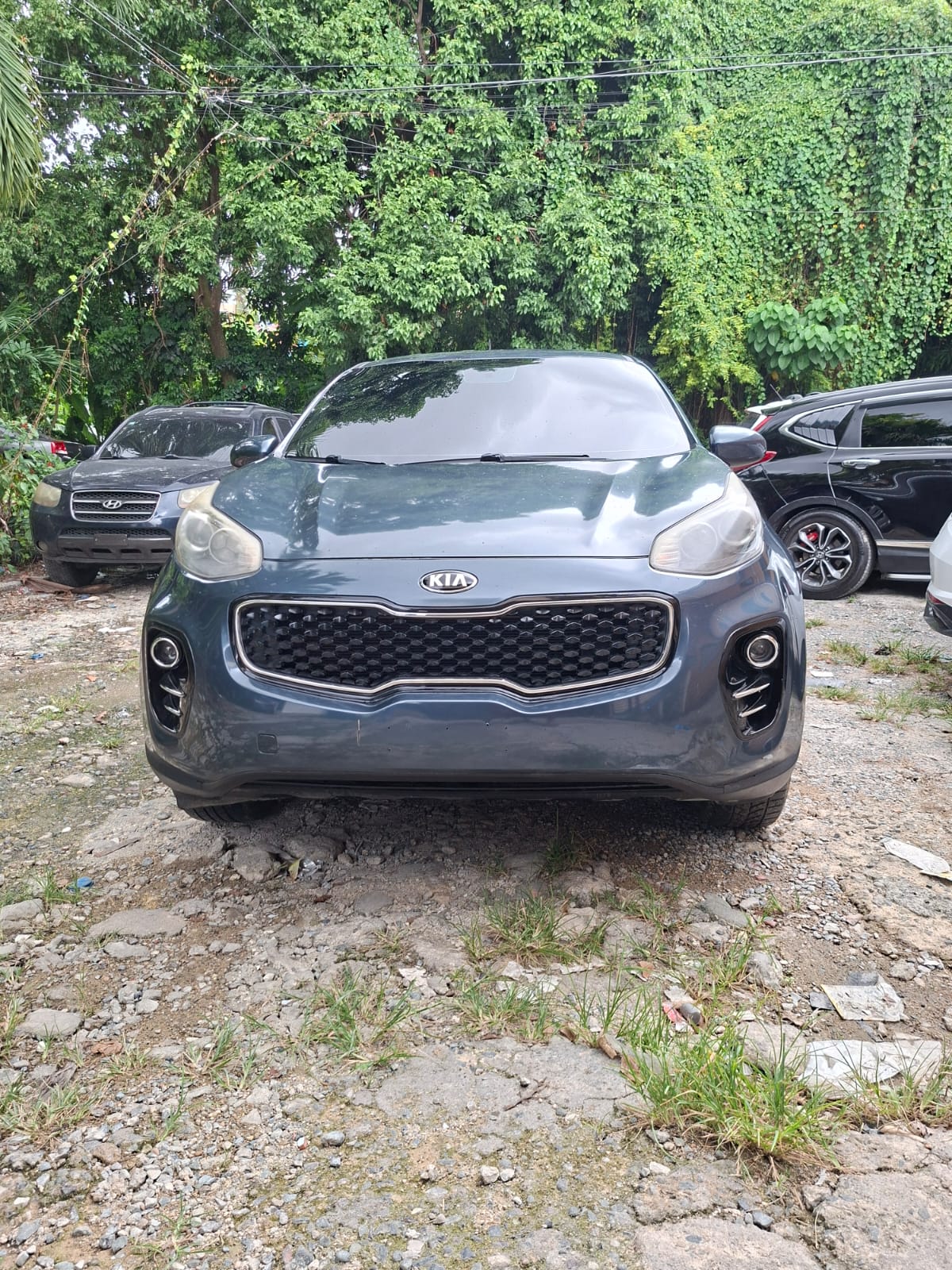 Kia Sportage 2018