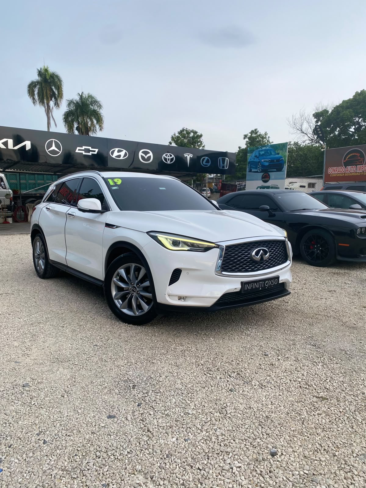 Infiniti Qx50 2019